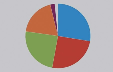 グラフ表示（得票分析）